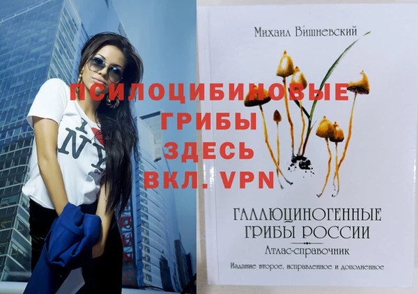 гашик Каменск-Шахтинский